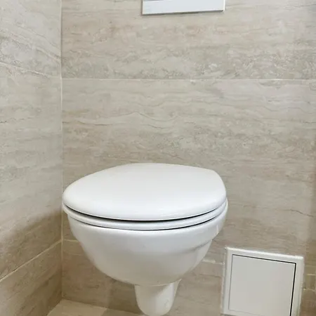 Premium Flat Balcony & Lift For 5